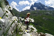 Ai rifugi e laghi del Barbellino…spettacolo assicurato ! L’8 luglio 2015 - FOTOGALLERY